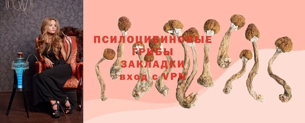 сатива Алексин