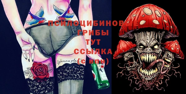 ПСИЛОЦИБИНОВЫЕ ГРИБЫ Алексеевка
