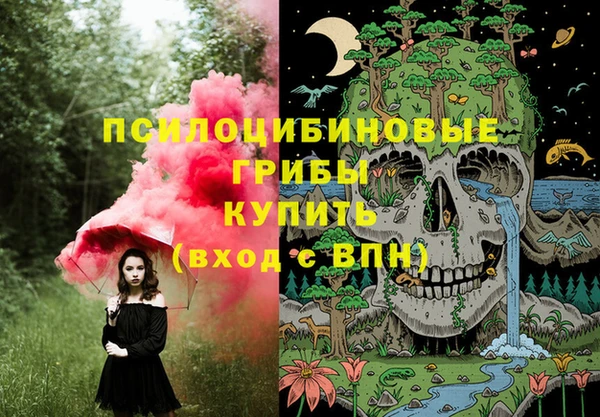 соль ск Алзамай